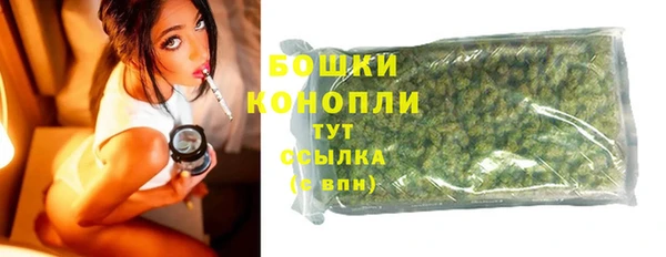 сатива Гусев