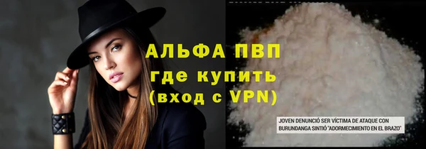 сатива Гусев