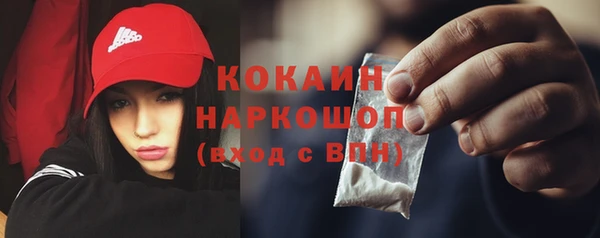 сатива Гусев