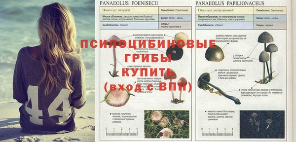 каннабис Дмитриев