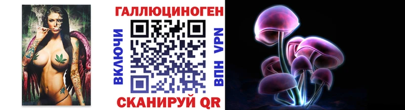 Купить закладки Анадырь Псилоцибиновые грибы GOLDEN TEACHER