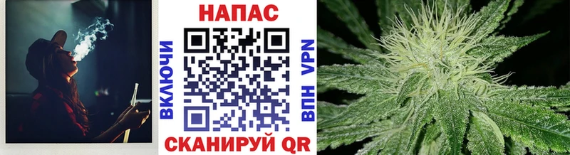 Марихуана план  Купить закладки  Анадырь 